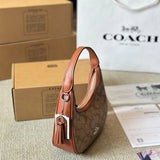 Coach Kleo Hobo In Signature Canvas