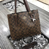 Coach Signature Canvas Tote Bag
