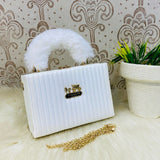 Coach Crossbody Handbag